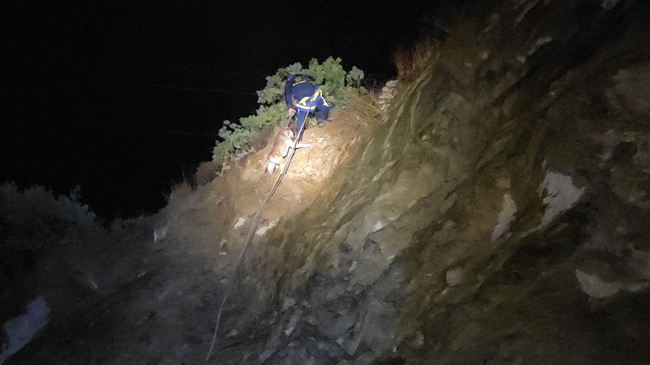 Bursa'da Kayalıkta Mahsur Kalan Köpek Kurtarıldı
