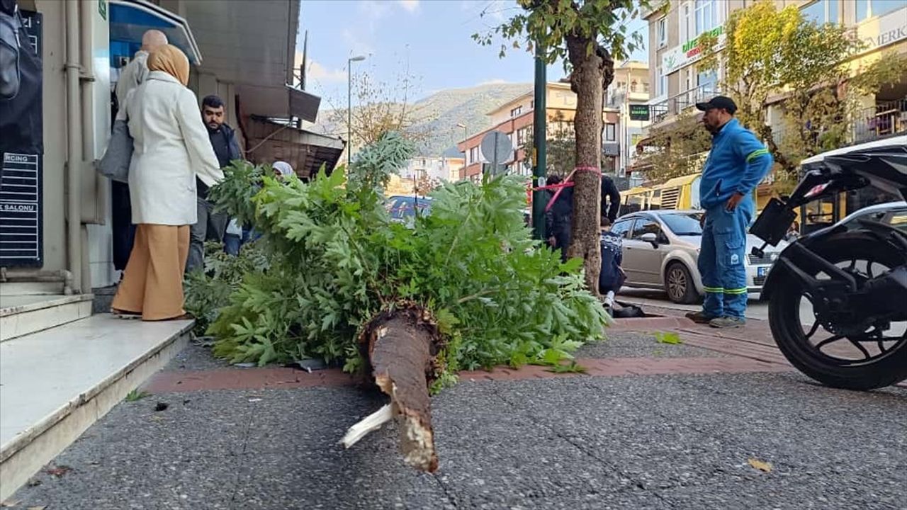 Bursa'da Otomobil Kazası: Yayaya Çarpan Araç Kaldırıma Çıktı
