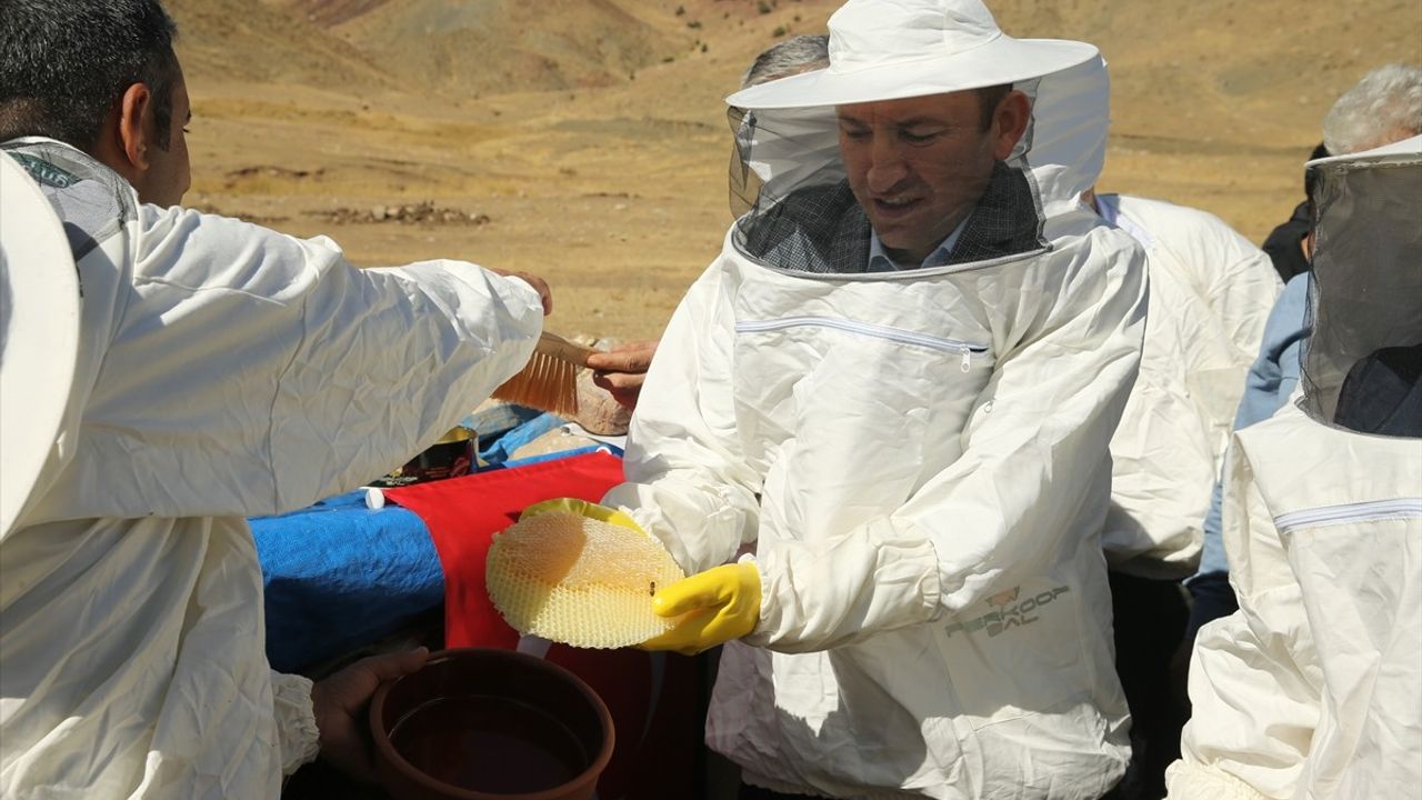 Çemikari Yaylası'nda Kara Kovan Balı Hasadı Yapıldı