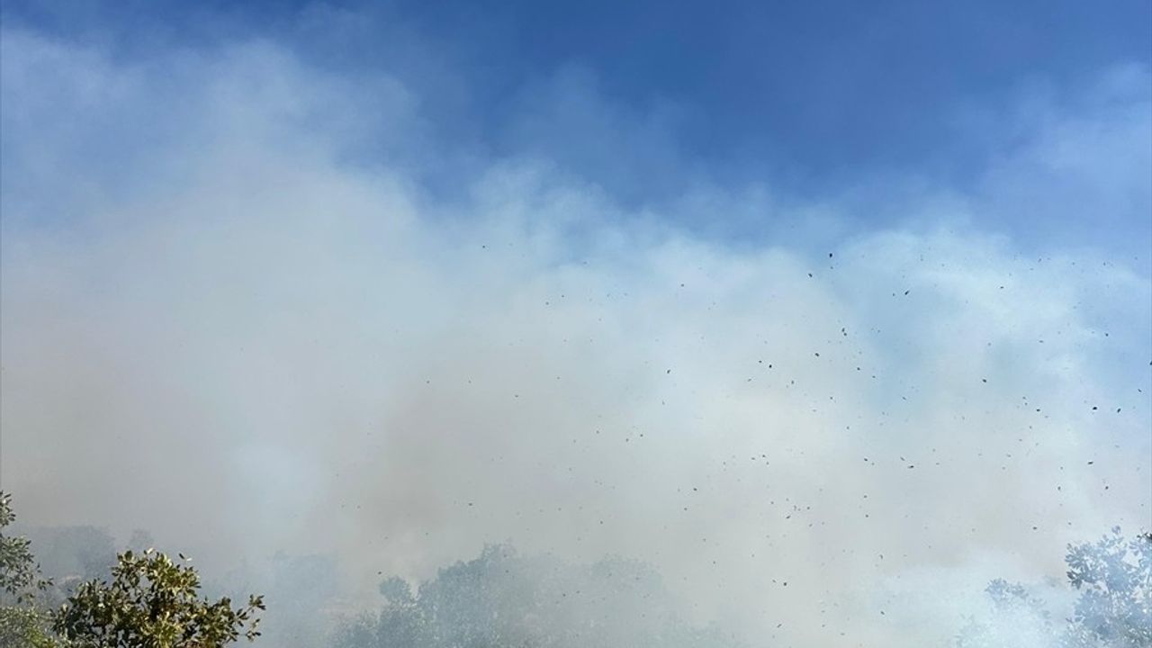 Diyarbakır'daki Kırsal Yangın için Ekipler Seferber Oldu