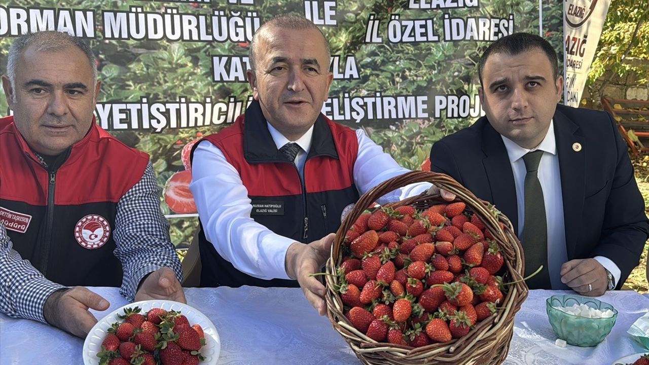 Elazığ'da Çilek Üretimini Artıracak Proje Başlatıldı