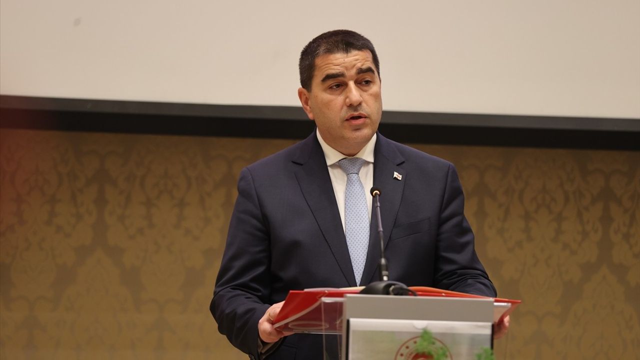 Gürcistan'da Cumhuriyet Bayramı Kutlamaları