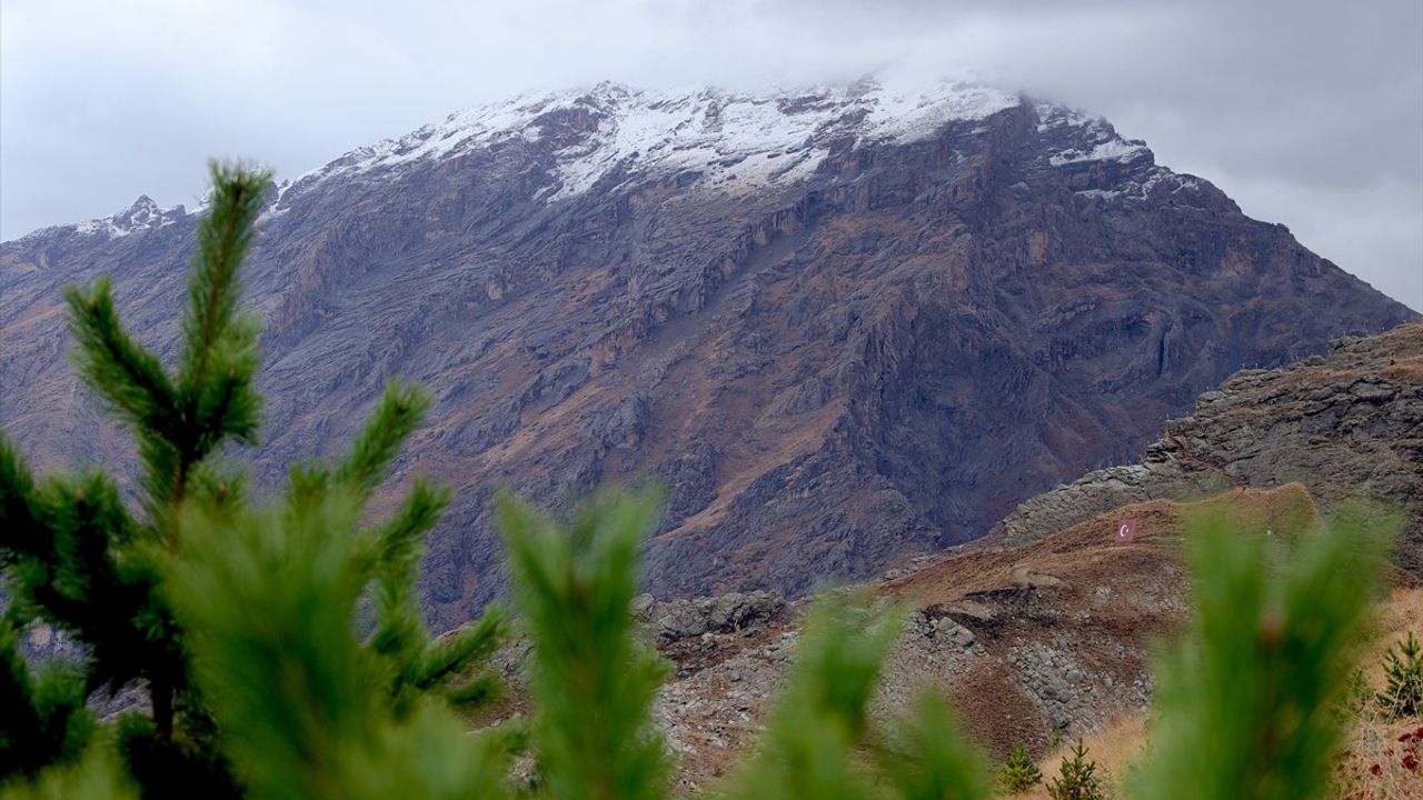 Hakkari'de Kar Yağışı Başladı