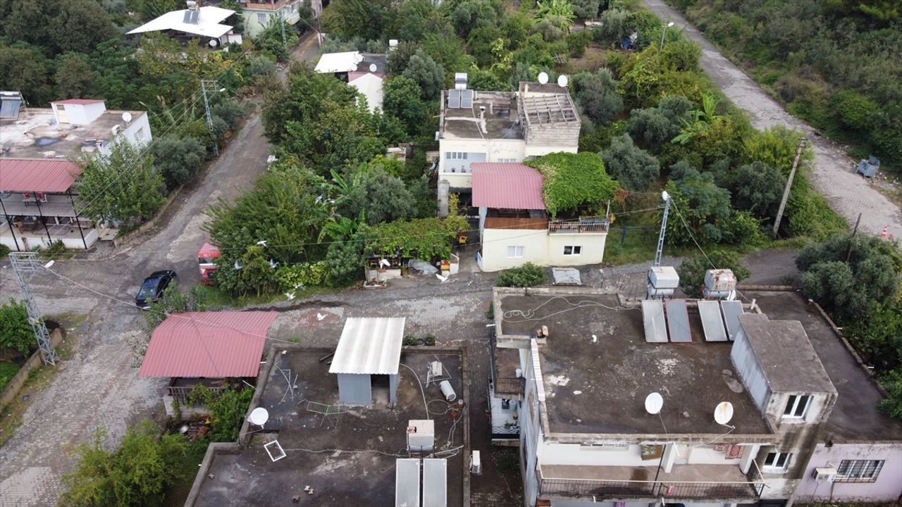 Hatay'da Sağanak Sonrası Temizlik Çalışmaları Devam Ediyor