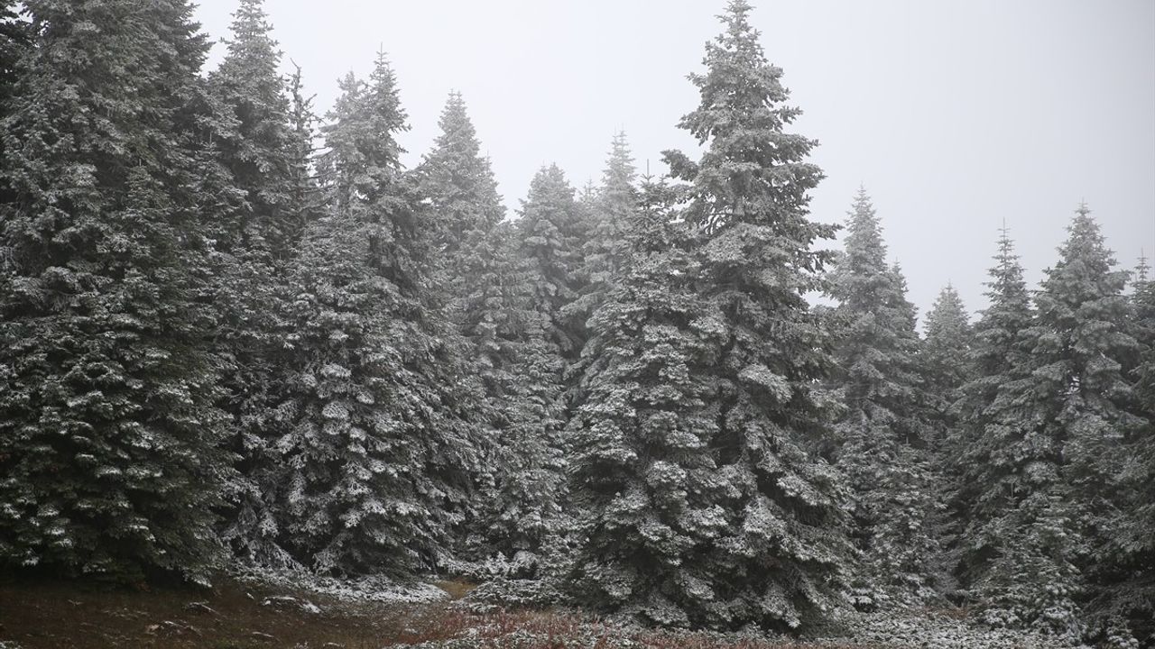Ilgaz Dağı'nda Kar ve Sis Etkisi