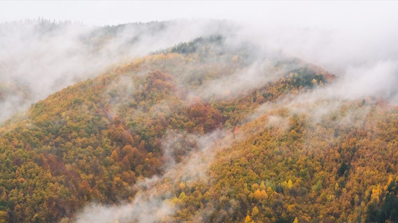 Ilgaz Dağı'nda Tarihi Sis Olayı