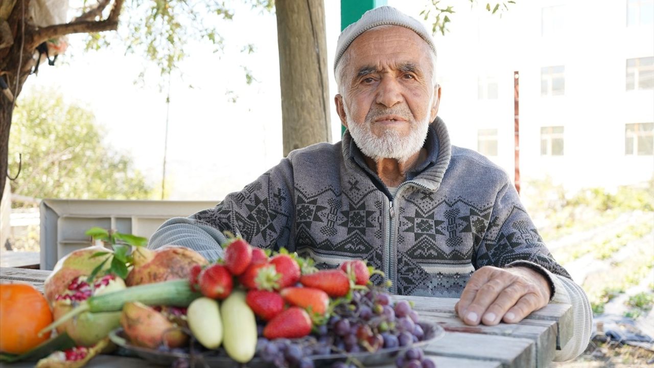 Isparta'da İyilik Paylaşımı: İbrahim Dede'nin Hayır Bahçesi