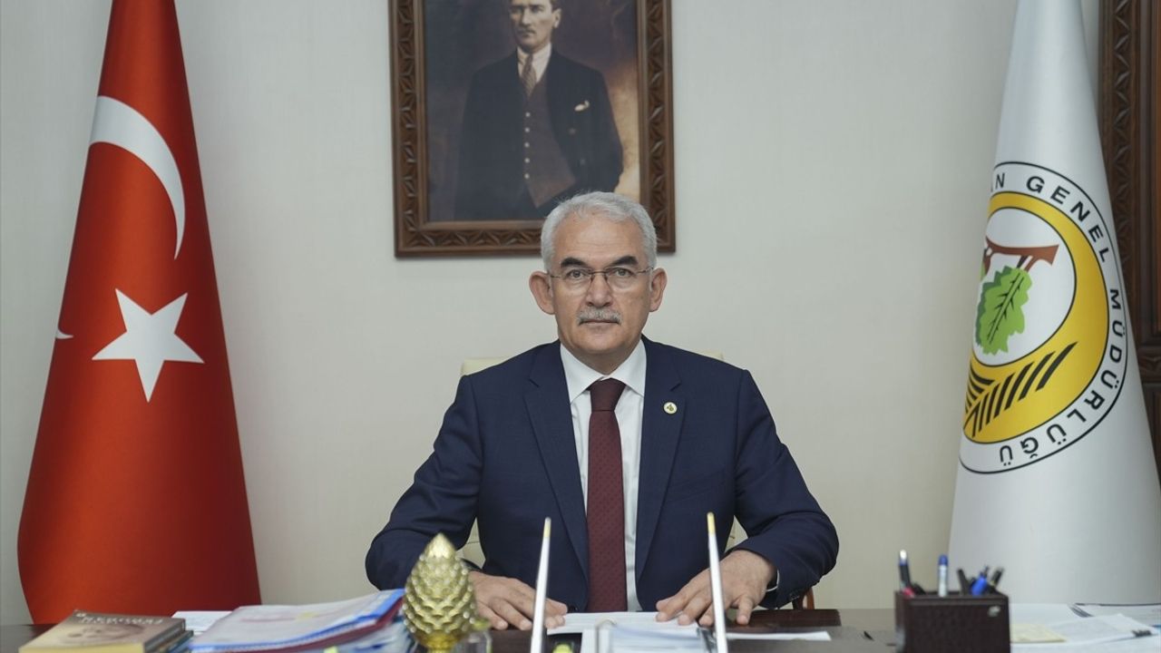 İstanbul Orman İnovasyon Haftası Dünyadan Uzmanları Ağırlayacak