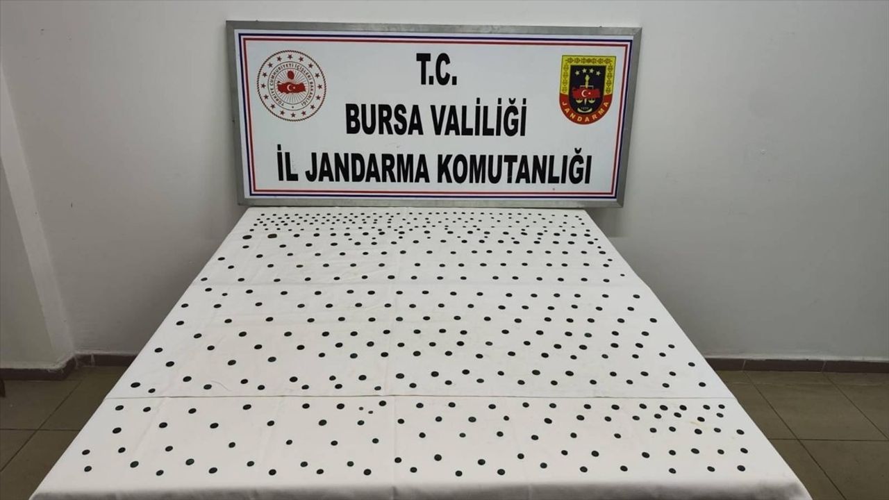 İznik'te Tarihi Eser Operasyonu: 437 Sikke Ele Geçirildi