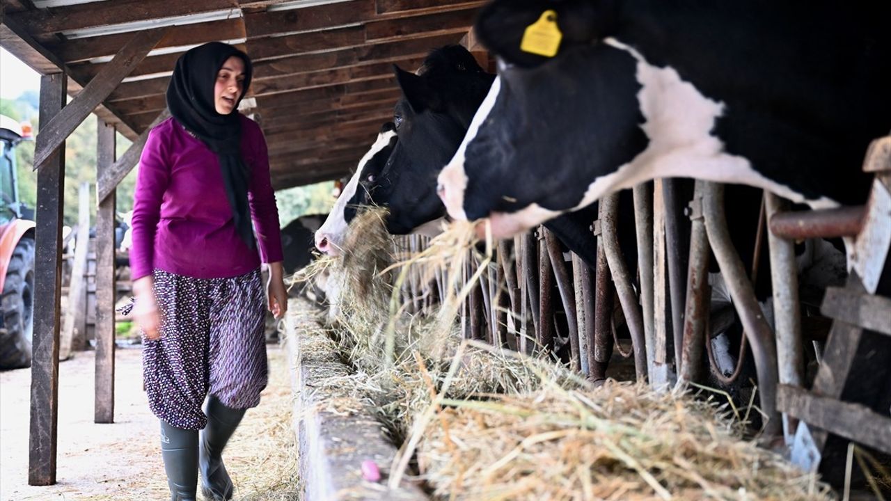 Kadın Girişimciden Hayvancılıkta Başarı Hikayesi