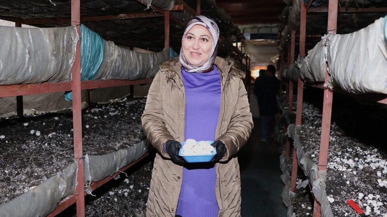 Kadın Girişimciliği Destekleyen Başarılı Bir Örnek: Nurcan Aktaş
