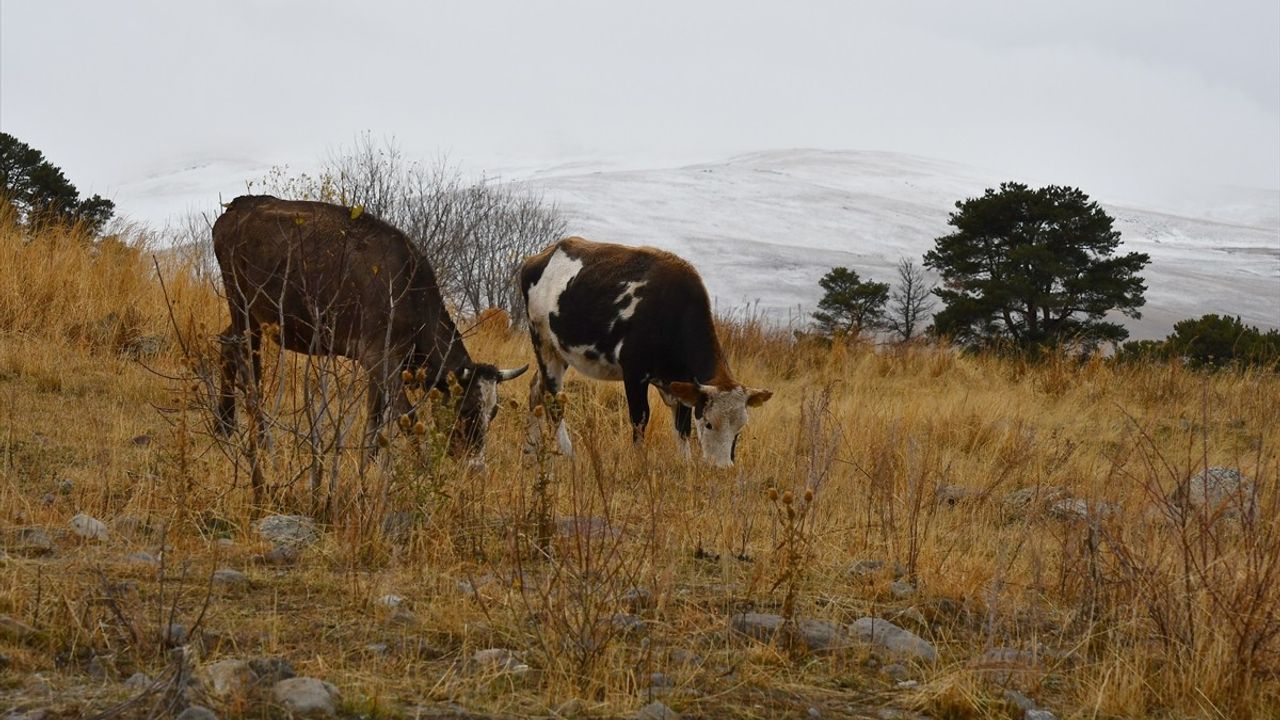 Kars'ın Sarıkamış İlçesinde Kar Yağışı Başladı