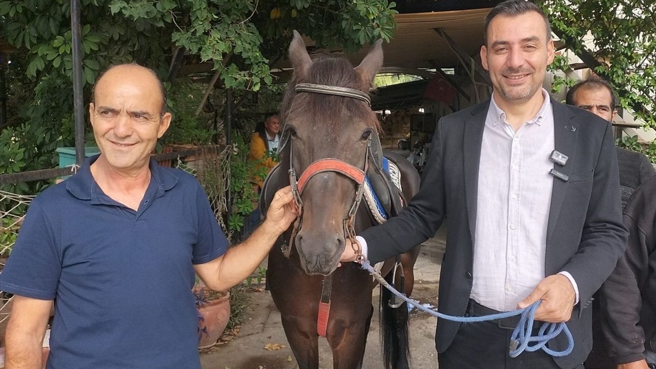 Manavgat’ta 16. Geleneksel Rahvan At Yarışları