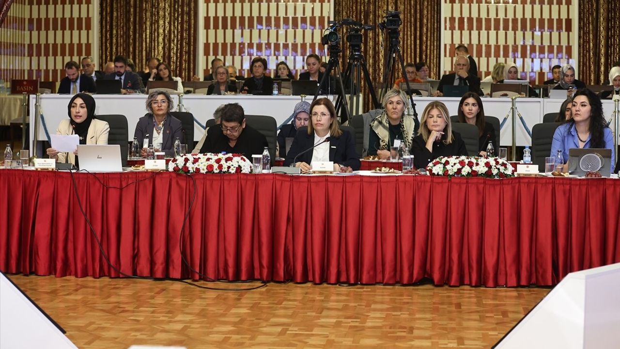 Milli Dayanışma, Kardeşlik ve Demokrasi Komisyonu Toplandı