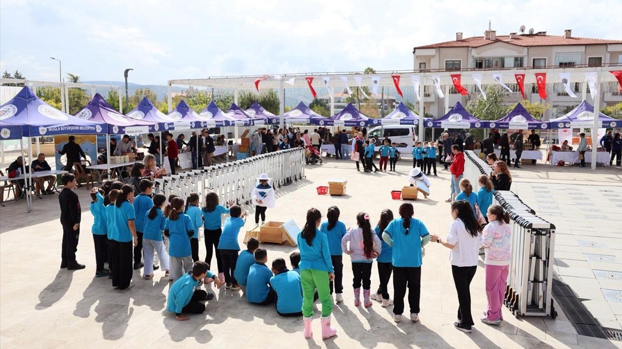 Muğla'da Çam Balı Hasat Şenliği Coşkusu