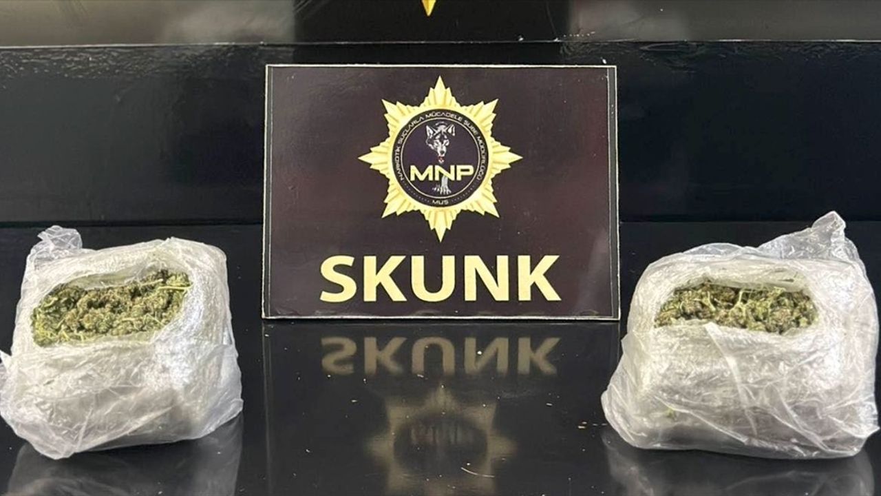 Muş'ta Uyuşturucu Operasyonu: 2 Şüpheli Tutuklandı
