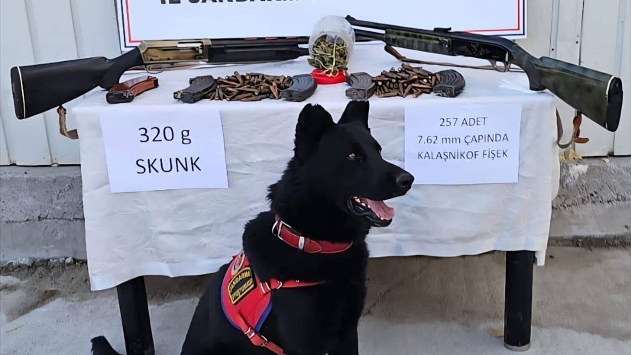 Muş'ta Uyuşturucu ve Mühimmat Operasyonu
