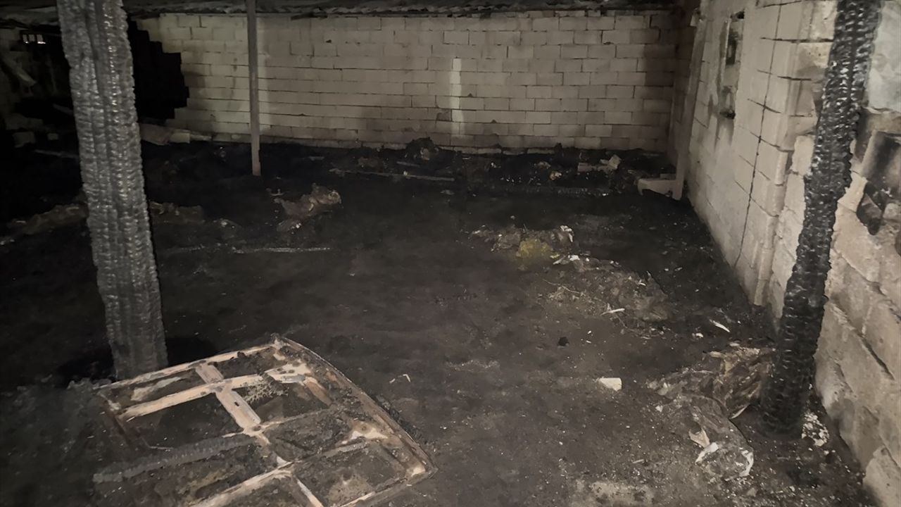 Niğde'de Yangın: 170 Koyun Telef Oldu