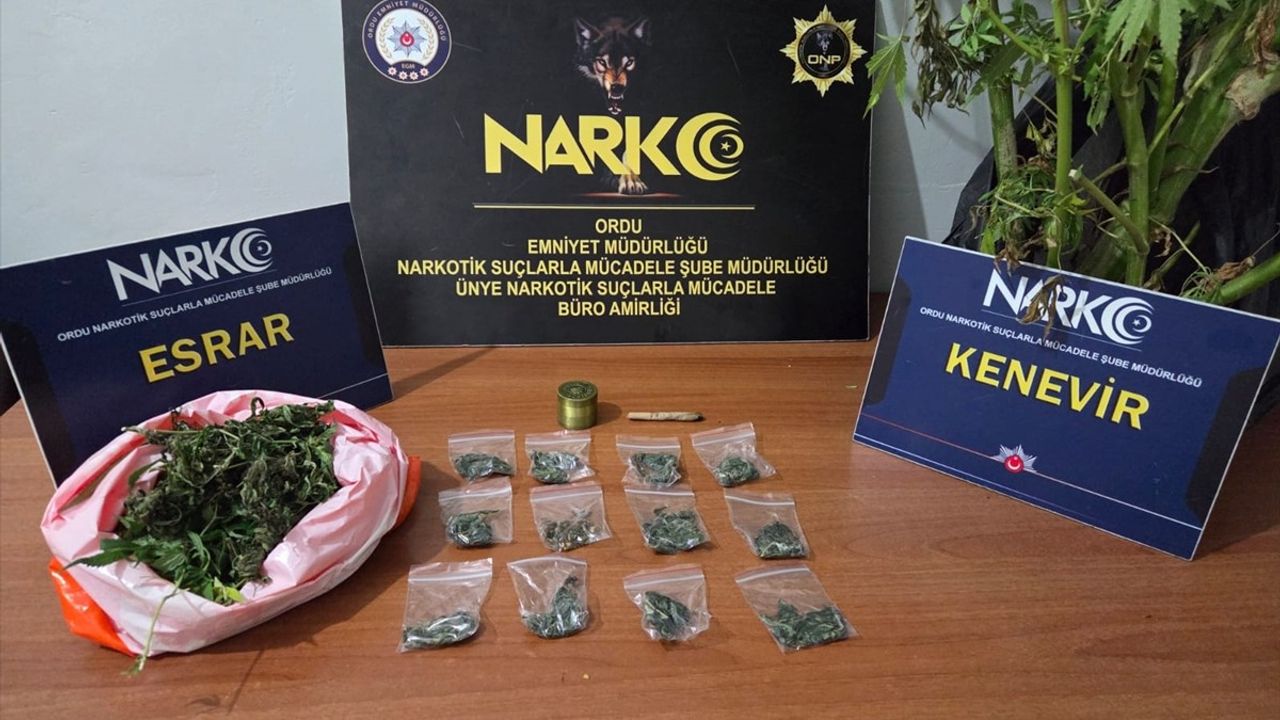 Ordu'da Uyuşturucu Operasyonu: 2 Şüpheli Tutuklandı