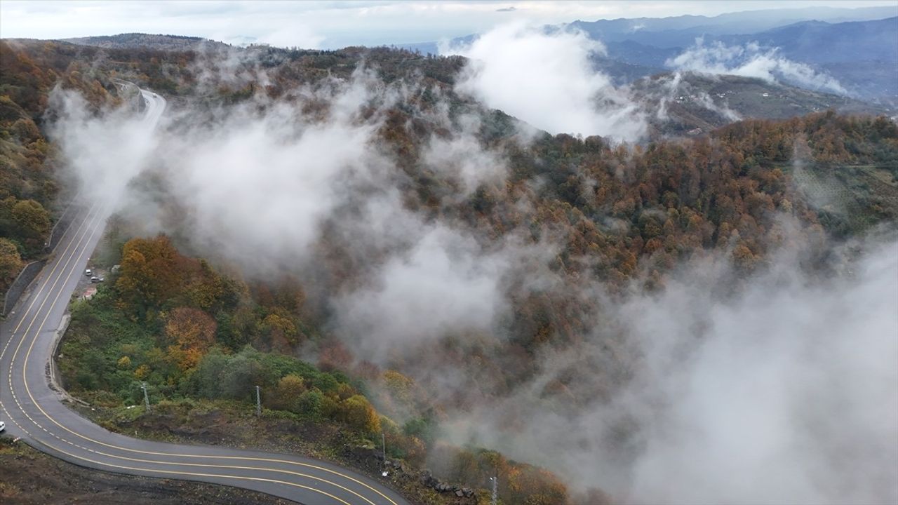 Ordu'nun Sonbahar Güzelliği: Sis ve Renklerin Dansı