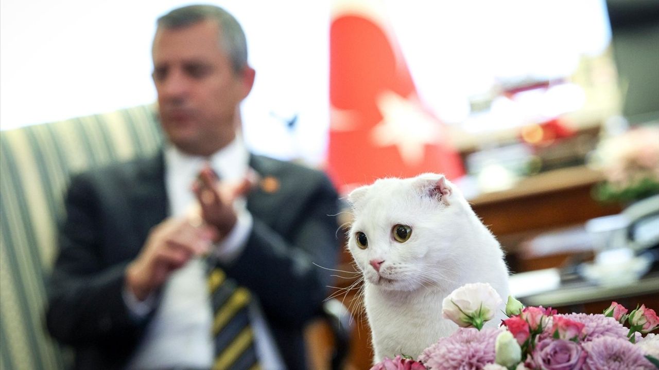 Özgür Özel'den Hayvanları Koruma Günü Kutlaması