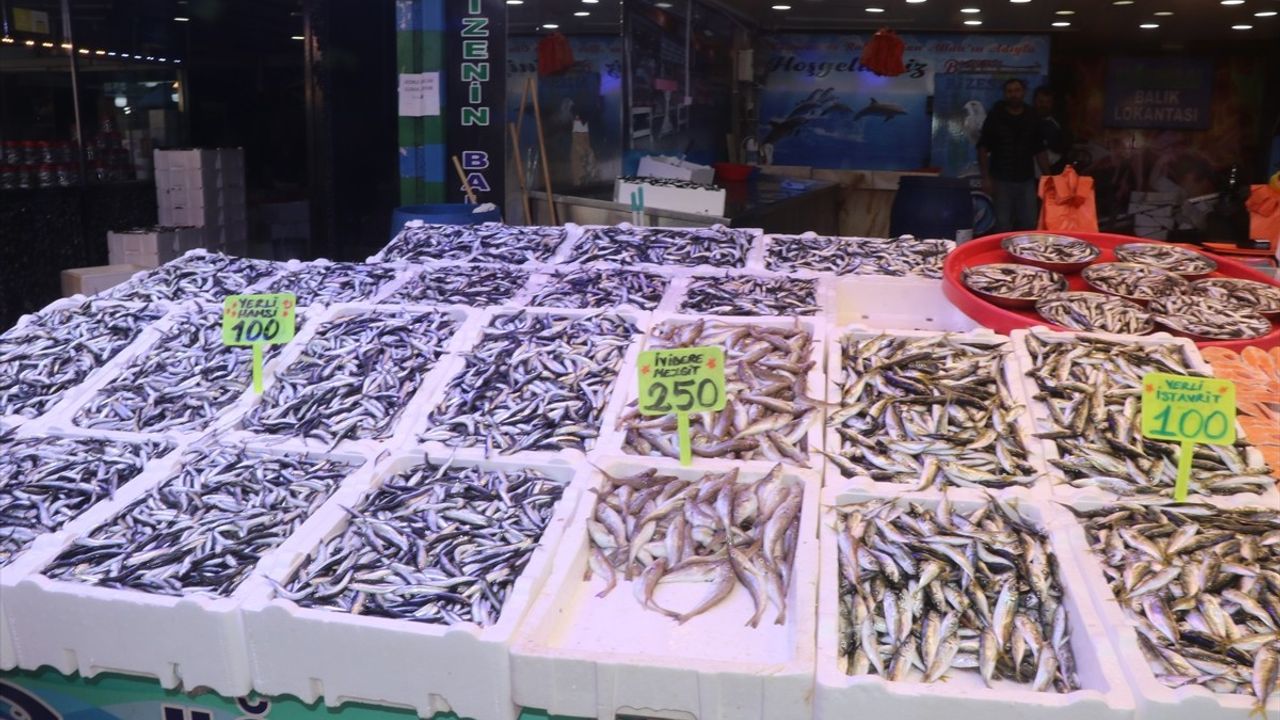 Rize'de Hamsi Bolluğu: Fiyatlar Uygun, Talep Yüksek