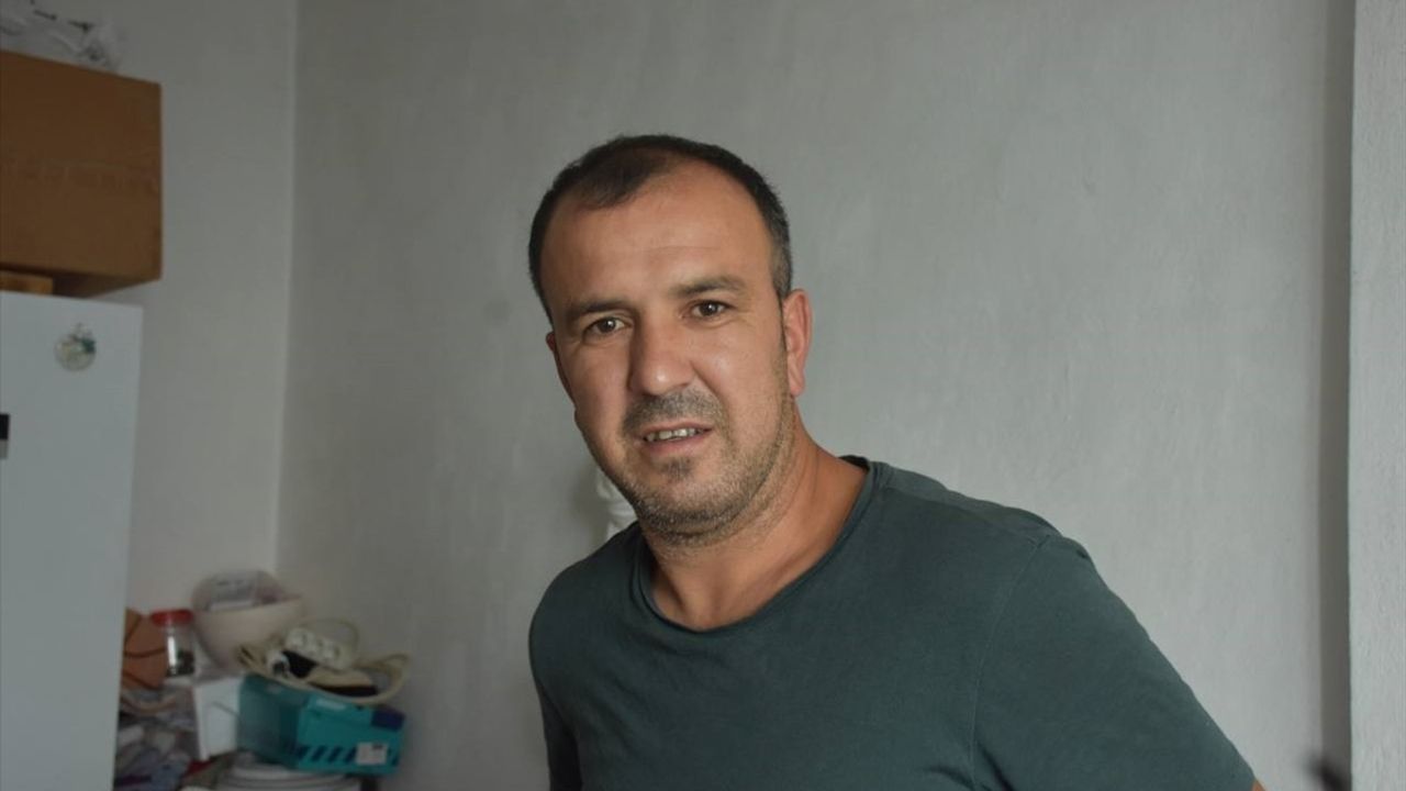 Sakarya'daki Ayı Saldırısından Kurtuluş Hikayesi