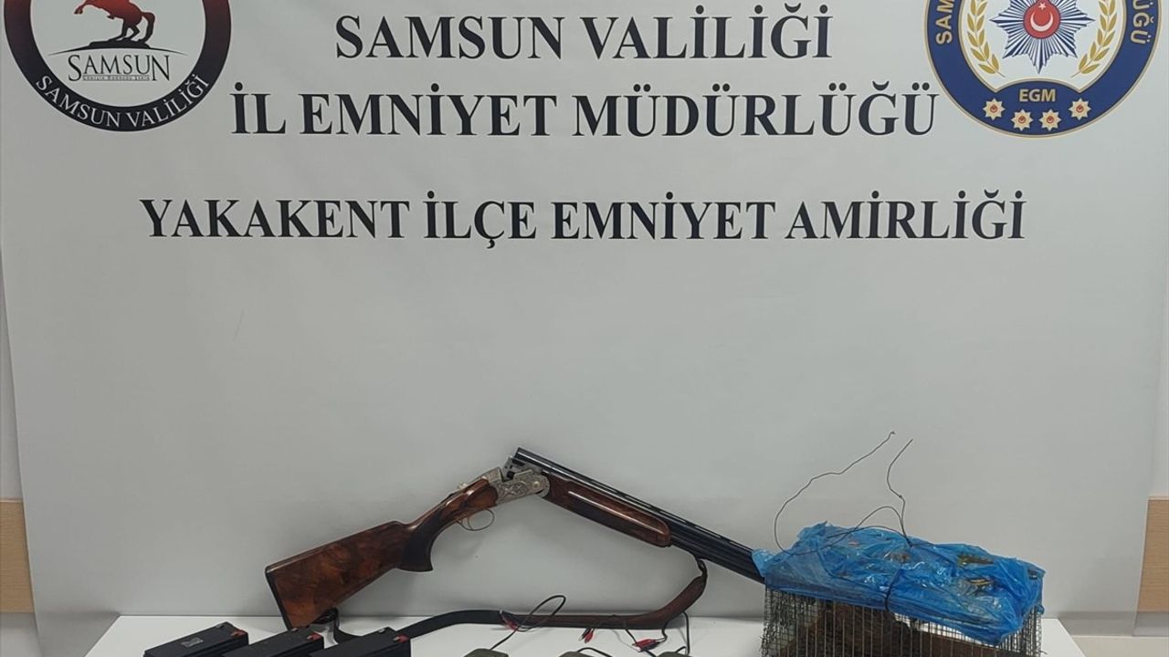 Samsun'da Kaçak Bıldırcın Avcılığına Geçit Yok