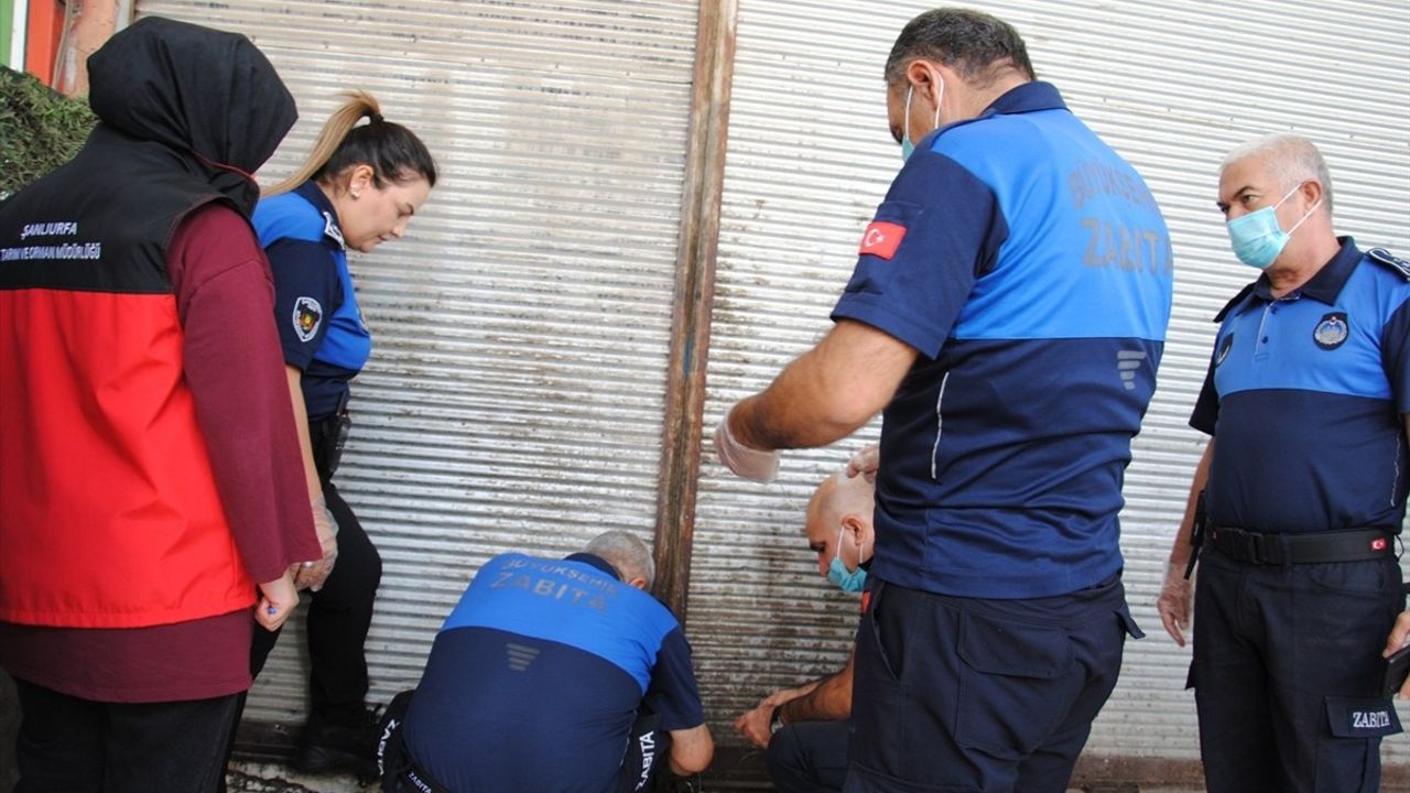 Şanlıurfa'da 1 Ton Bozulmuş Et Ele Geçirildi