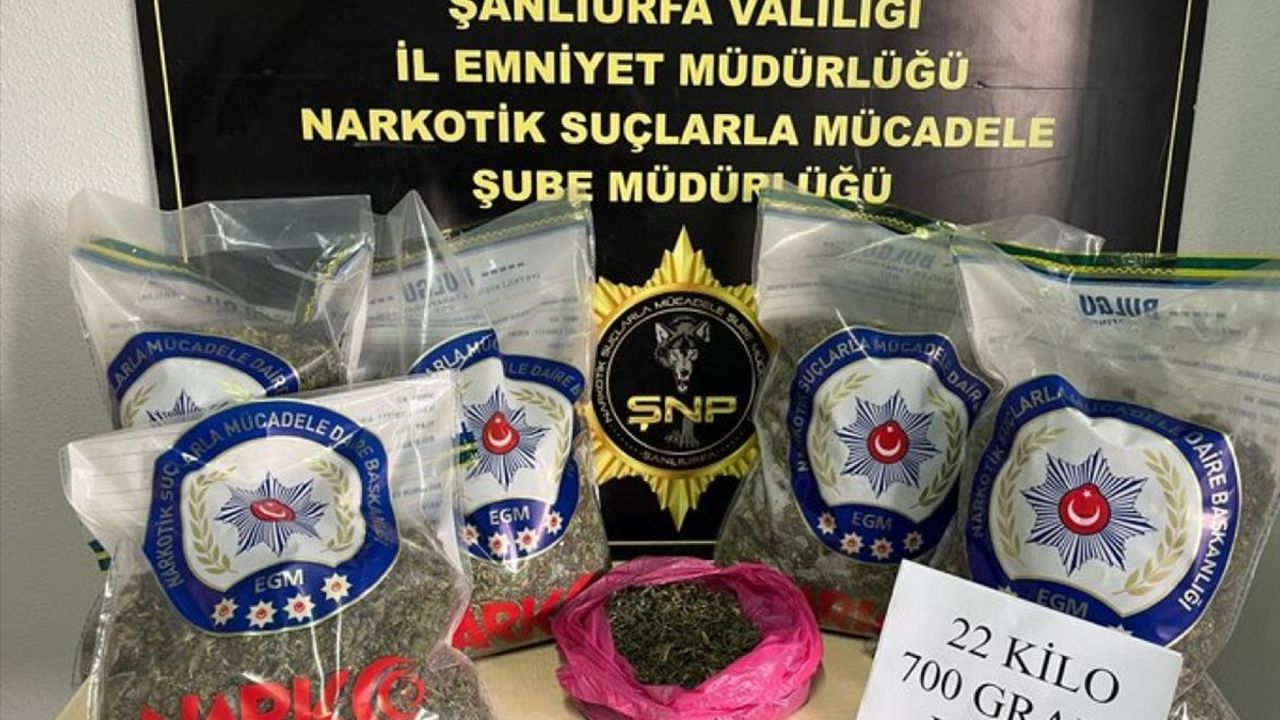 Şanlıurfa'da Uyuşturucu Operasyonu: 22 Kilo Esrar Ele Geçirildi