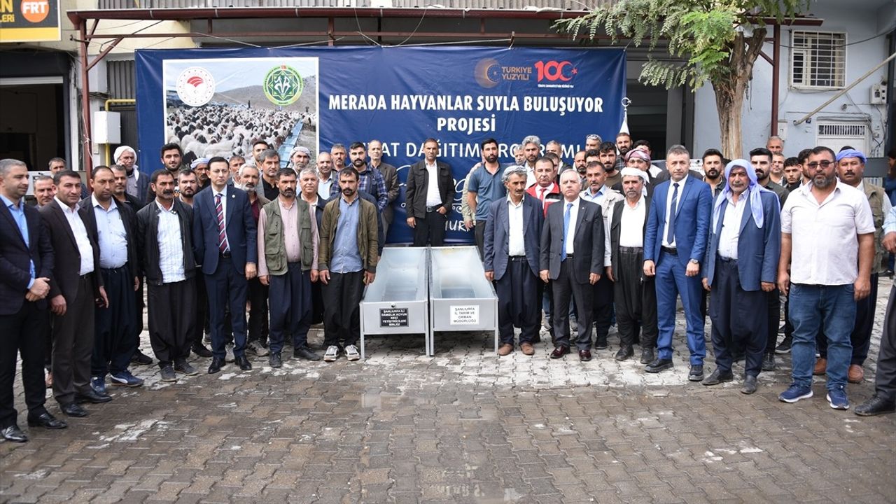 Şanlıurfa'nın Siverek İlçesinde Hayvan Yetiştiricilerine Sıvat Desteği