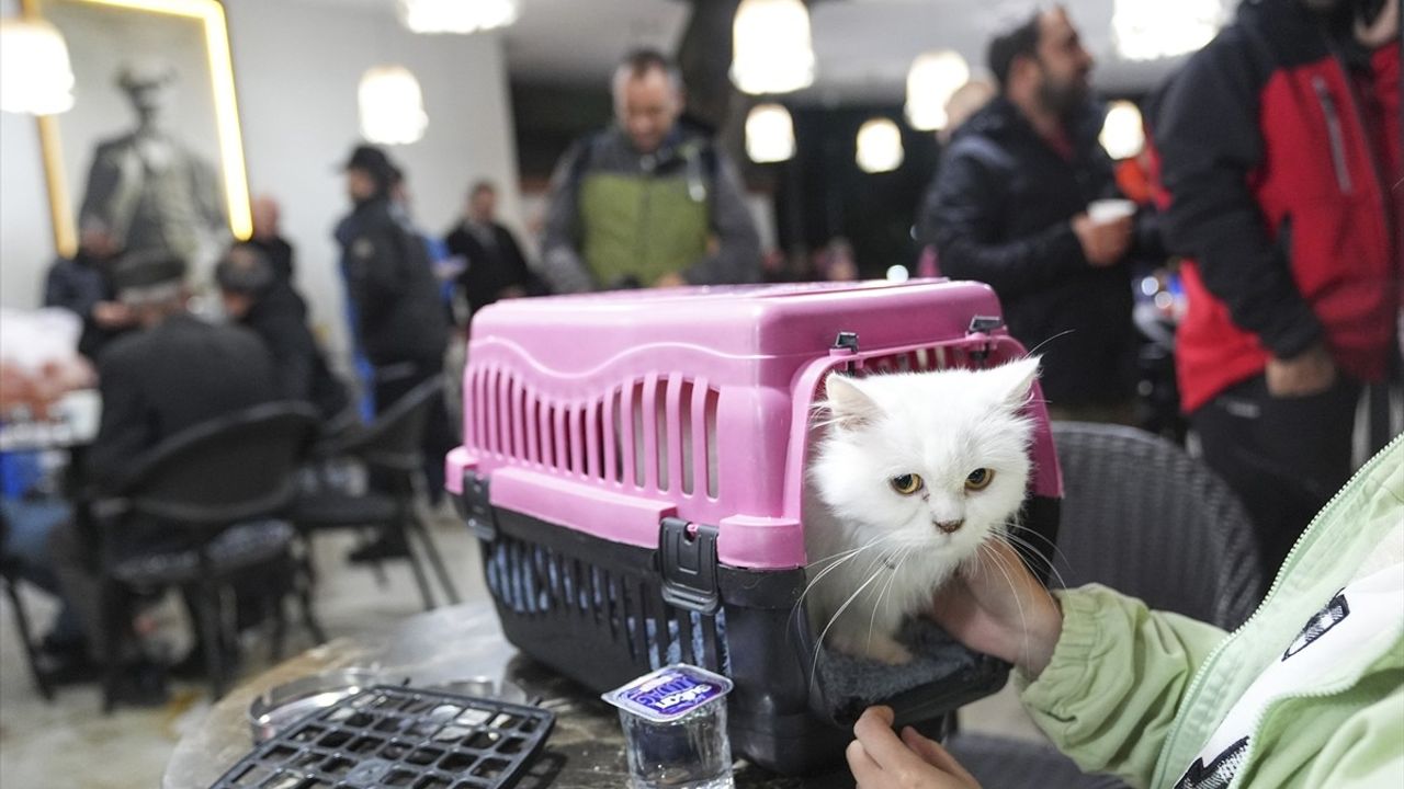 Sındırgı'da Depremin Ardından Gelen Sağanak Yağış