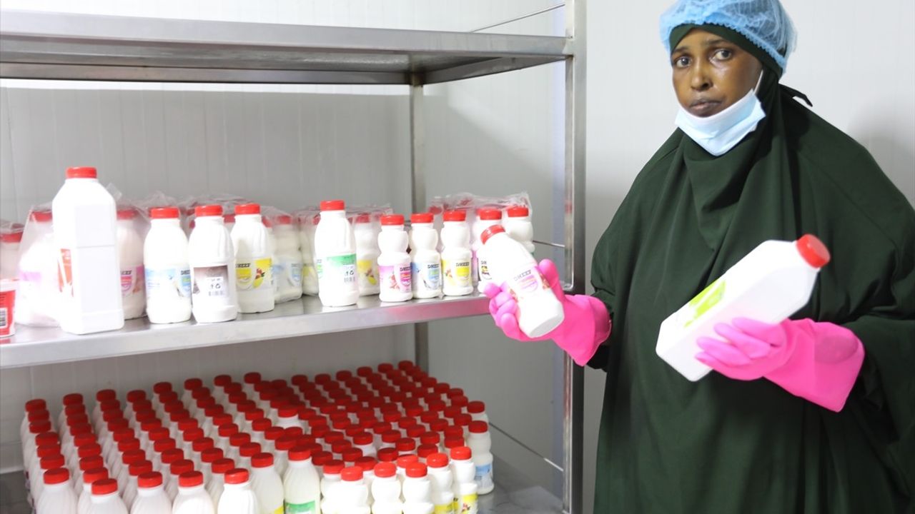 Somalili Kadınların Güçlü Birliği: Dheef Süt Fabrikası