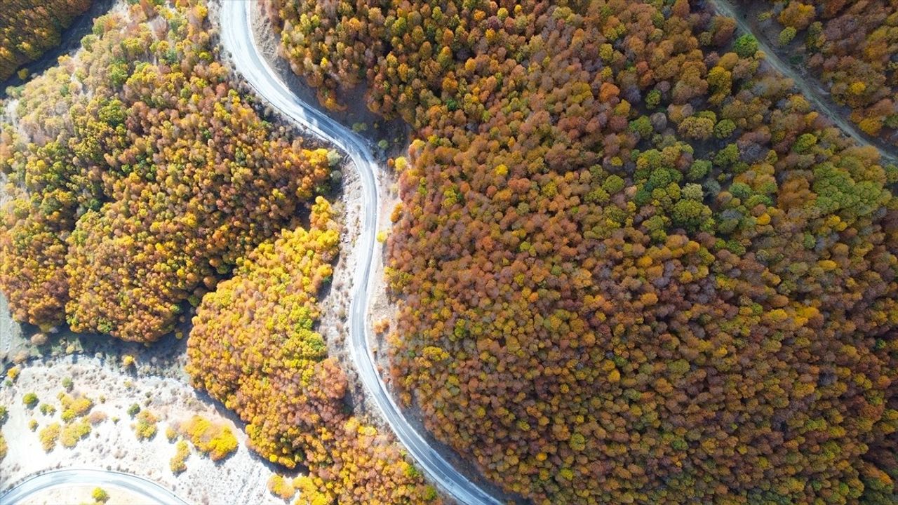 Sonbaharın Renkleriyle Kaplanan Şebek Geçidi