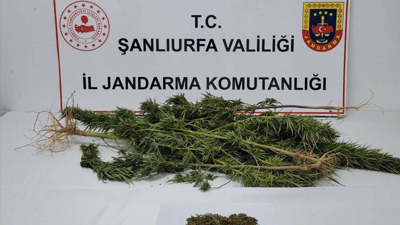 Suruç'ta Uyuşturucu Operasyonu: 4 Gözaltı