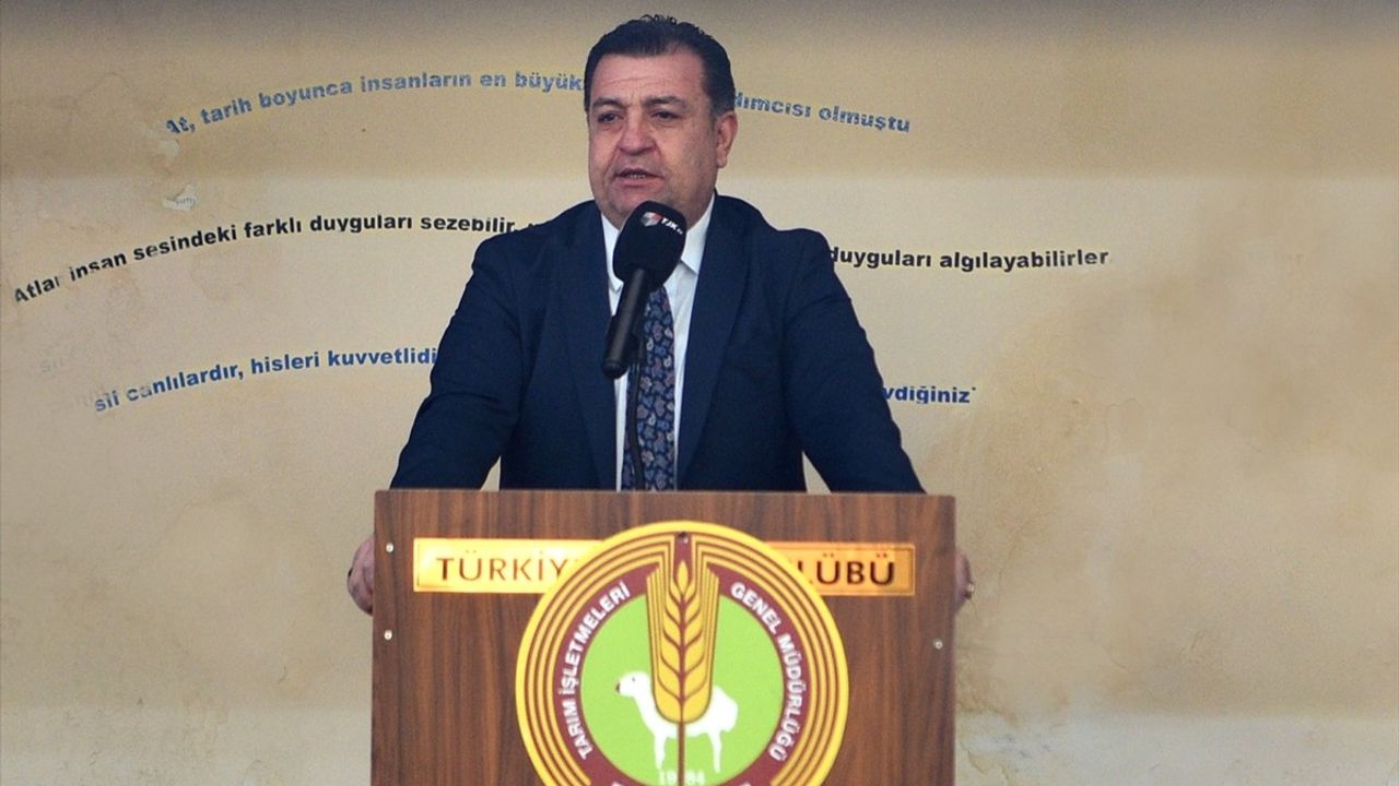 TİGEM'den Rekor Tay Satışı: 'Hızlı Yasin' 10.5 Milyon TL'ye Satıldı