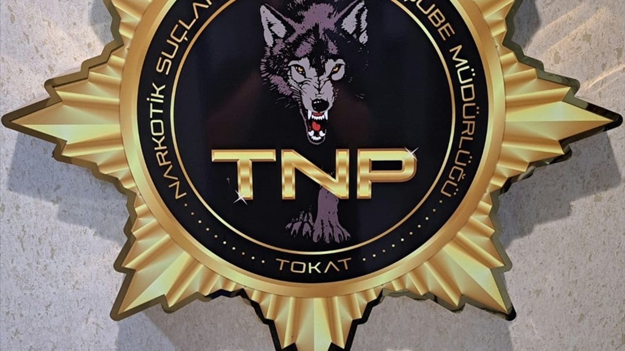Tokat'ta Uyuşturucu Operasyonu: Bir Tutuklama