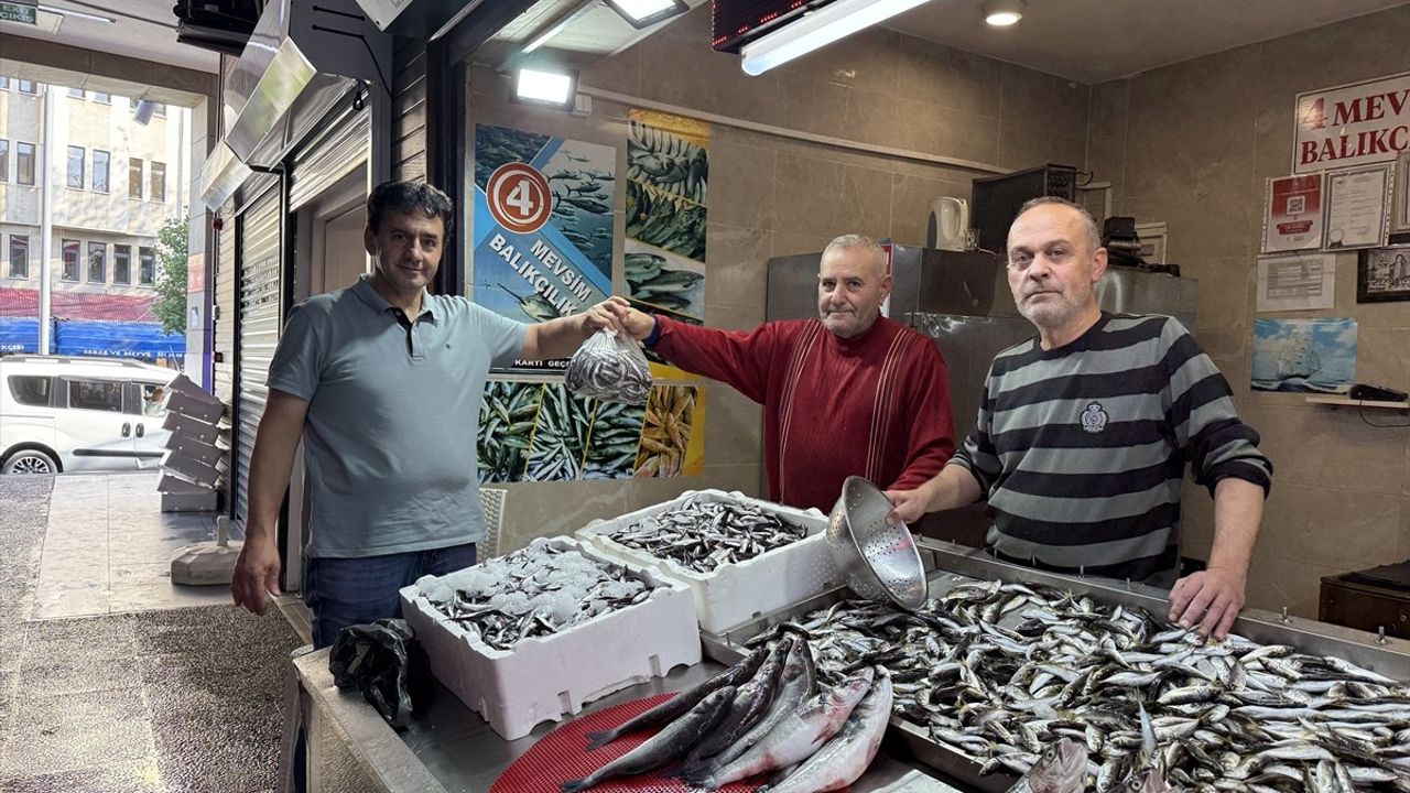 Trabzon'da İstavrit Balığına Yoğun İlgi