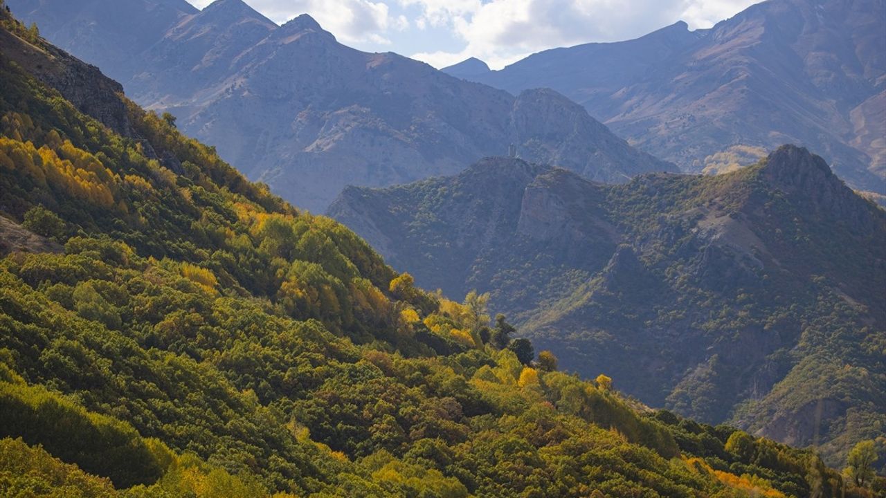 Tunceli'nin Ormanları Sonbaharda Göz Kamaştırıyor