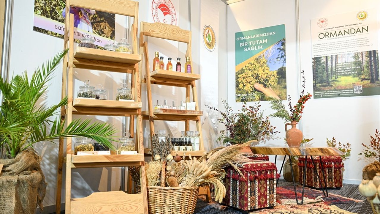 Türkiye'nin Flora Zenginliği Avrupa ile Yarışıyor