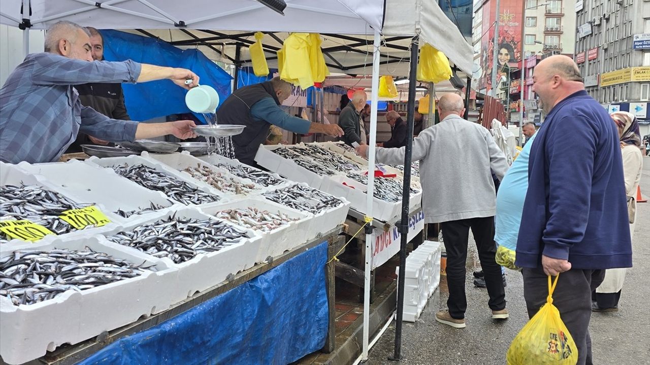 Zonguldak'ta Hamsi Bolluğu Yaşanıyor