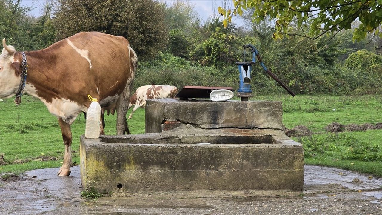 Zonguldak'ta Su Kuyusunda Ceset Bulundu