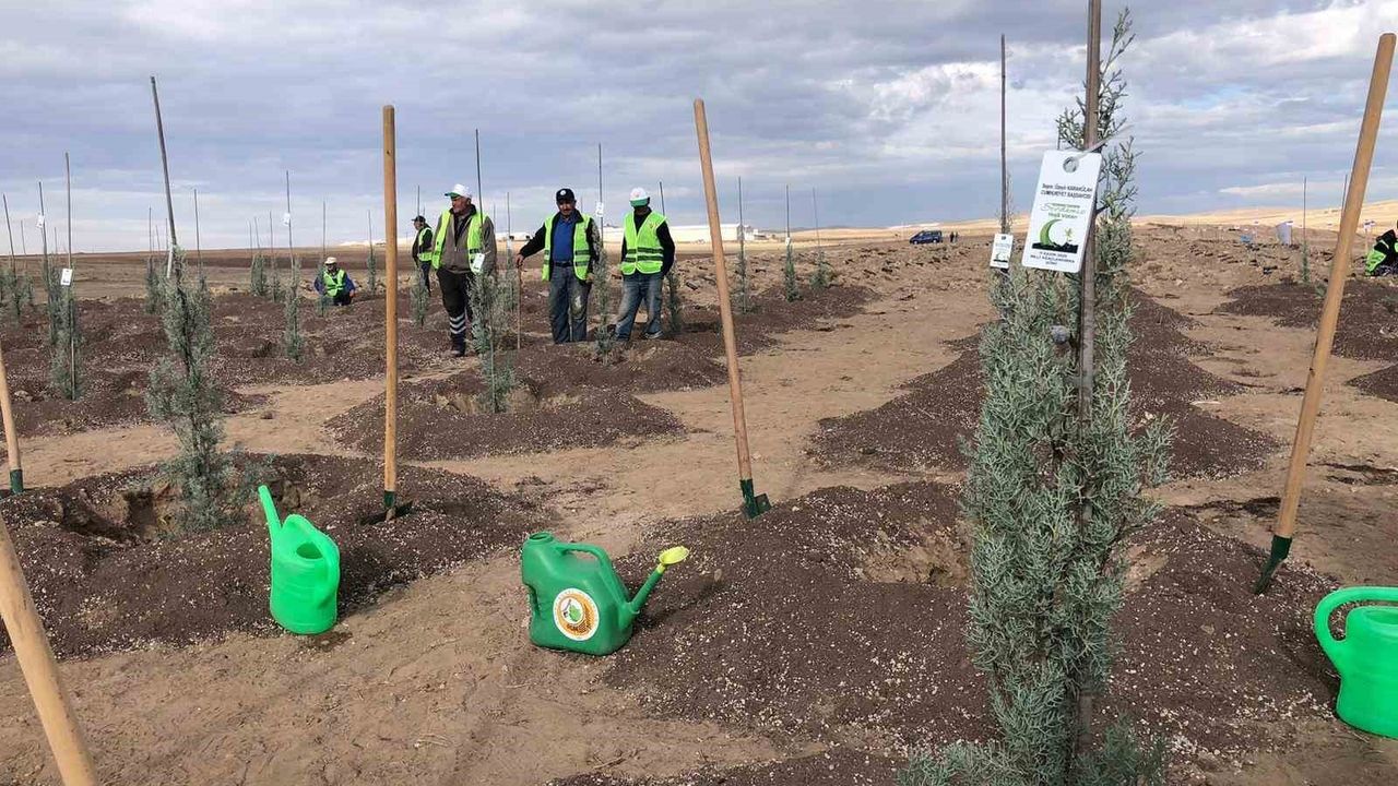 11 Kasım Milli Ağaçlandırma Günü'nde 20 Bin Fidan Dikildi