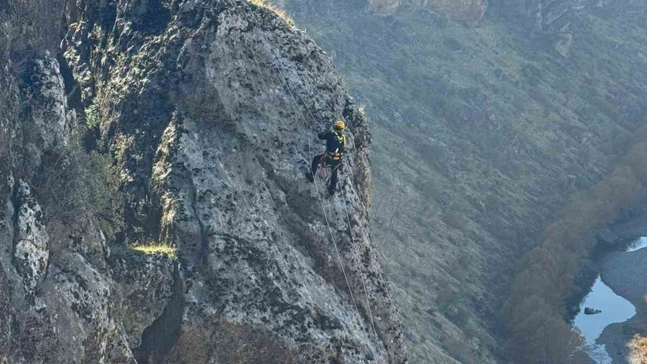 25 Keçi Kayalıklardan Kurtarıldı