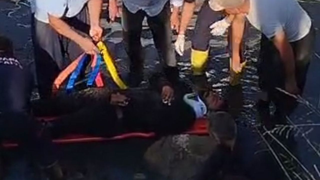 Adana'da Motosiklet Kazası: 2 Yaralı