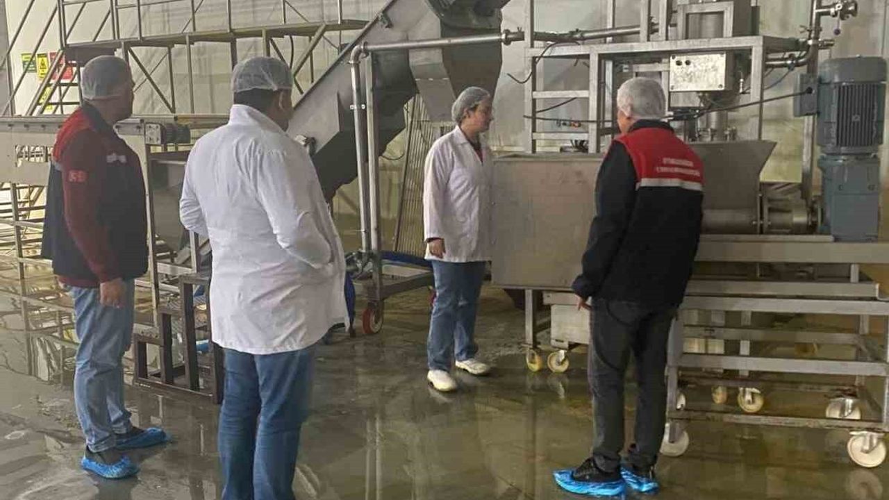 Afyonkarahisar'da Hayvansal Yem Üreticisi Denetim Altında