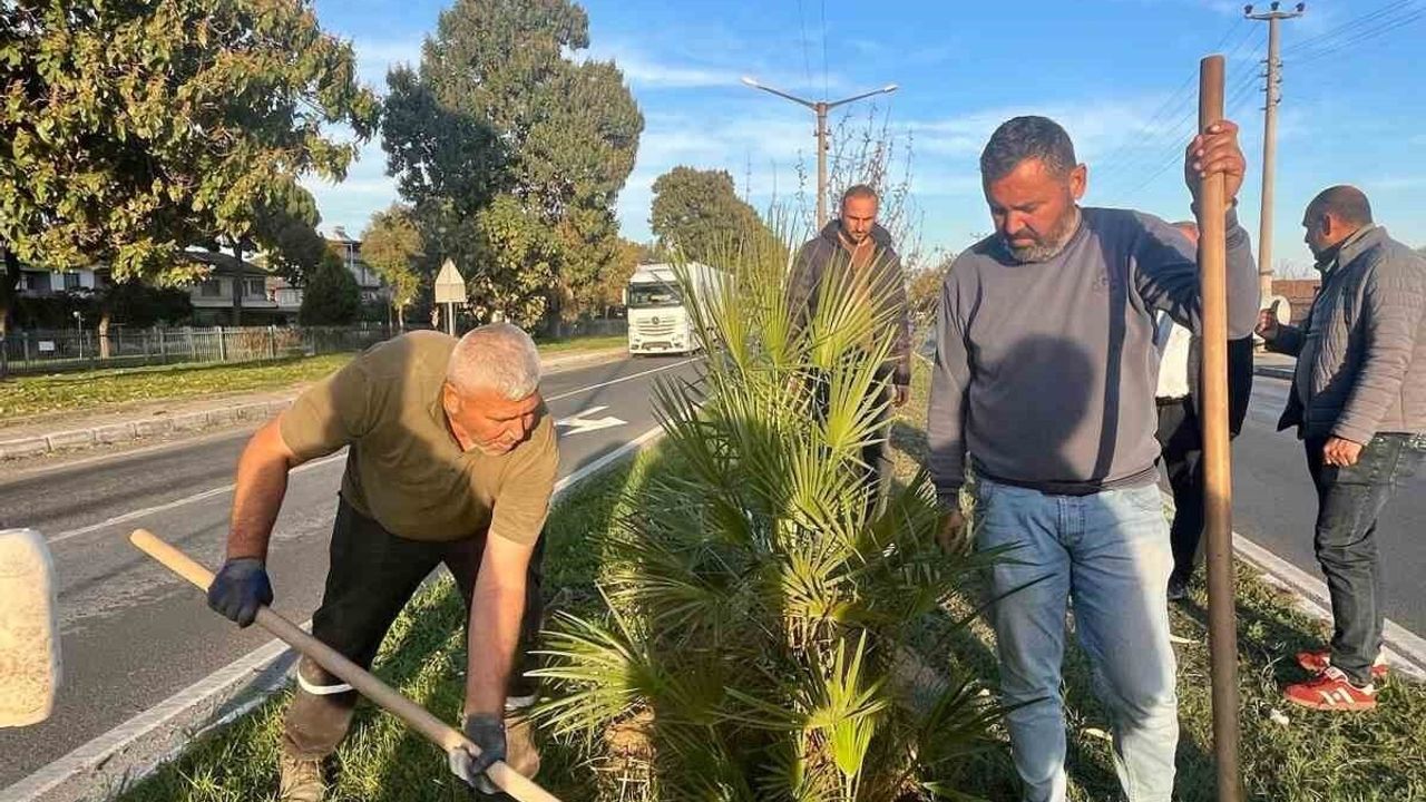 Ağaçlandırma Çalışmaları Sultanhisar'da Devam Ediyor