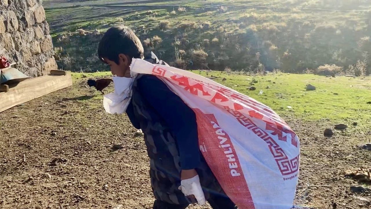 Ağrı'da Besiciler Kış İçin Hazırlıklara Başladı
