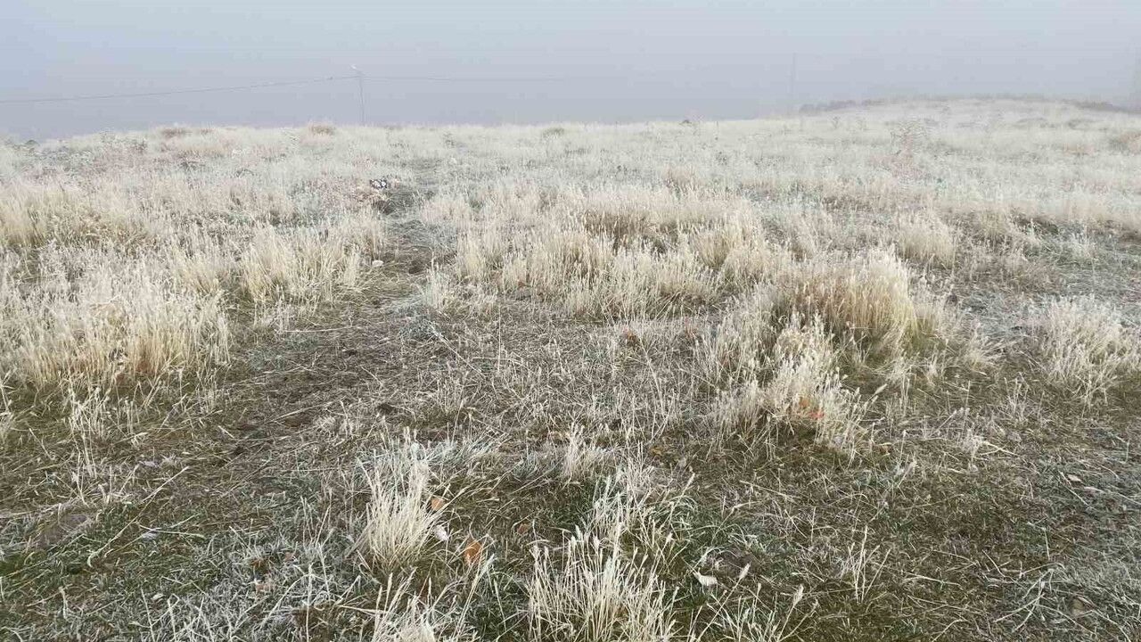 Ağrı'da Kırağı Etkisi
