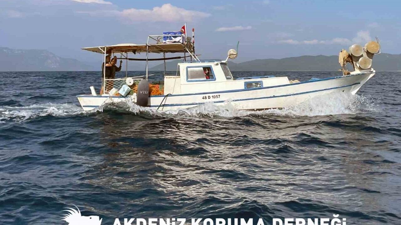 Akdeniz Koruma Derneği'nden Dünya Balıkçılık Günü Mesajı